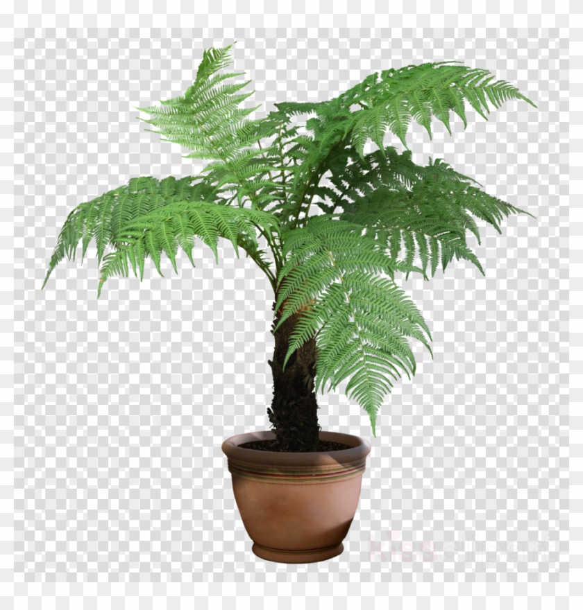 Plants Png Transparent Clipart Houseplant Indoor Plants #572597