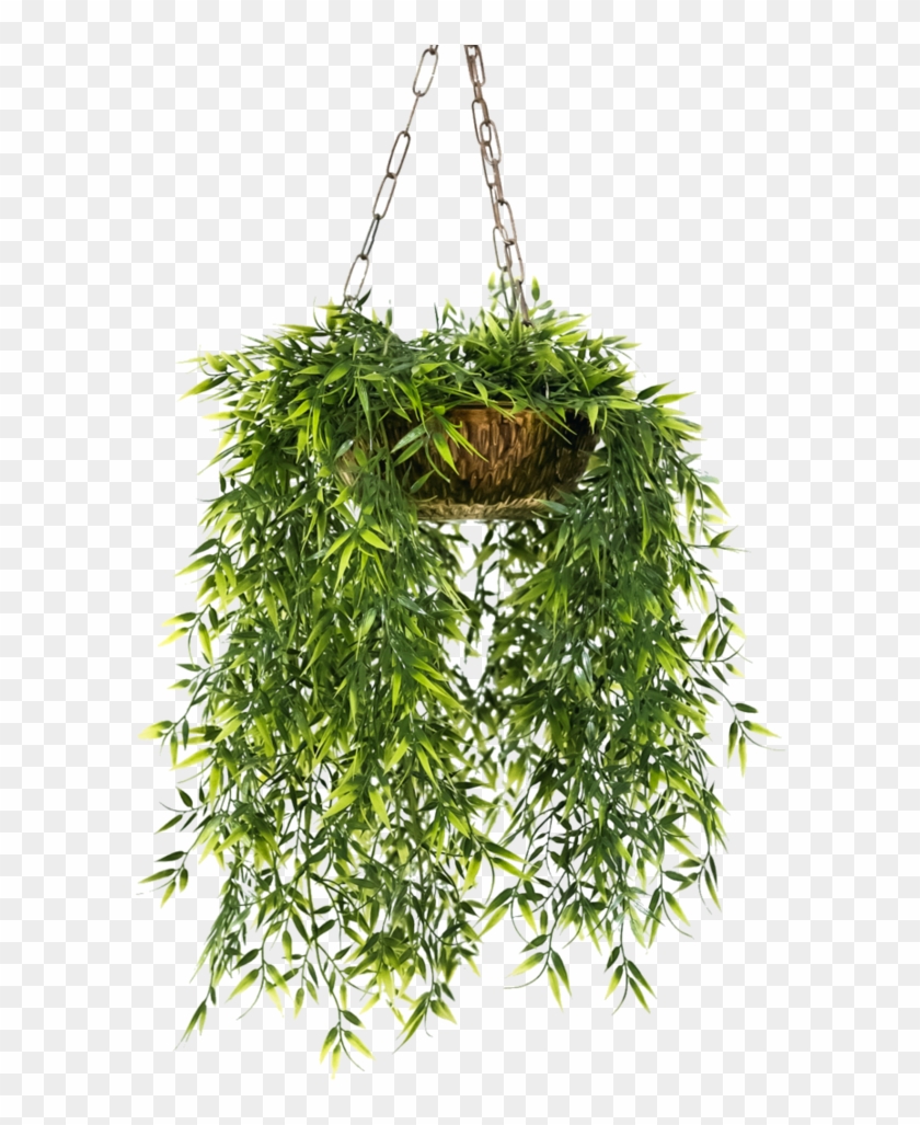 Plant Hanging Png - Hanging Flower Pot Png Clipart #572626