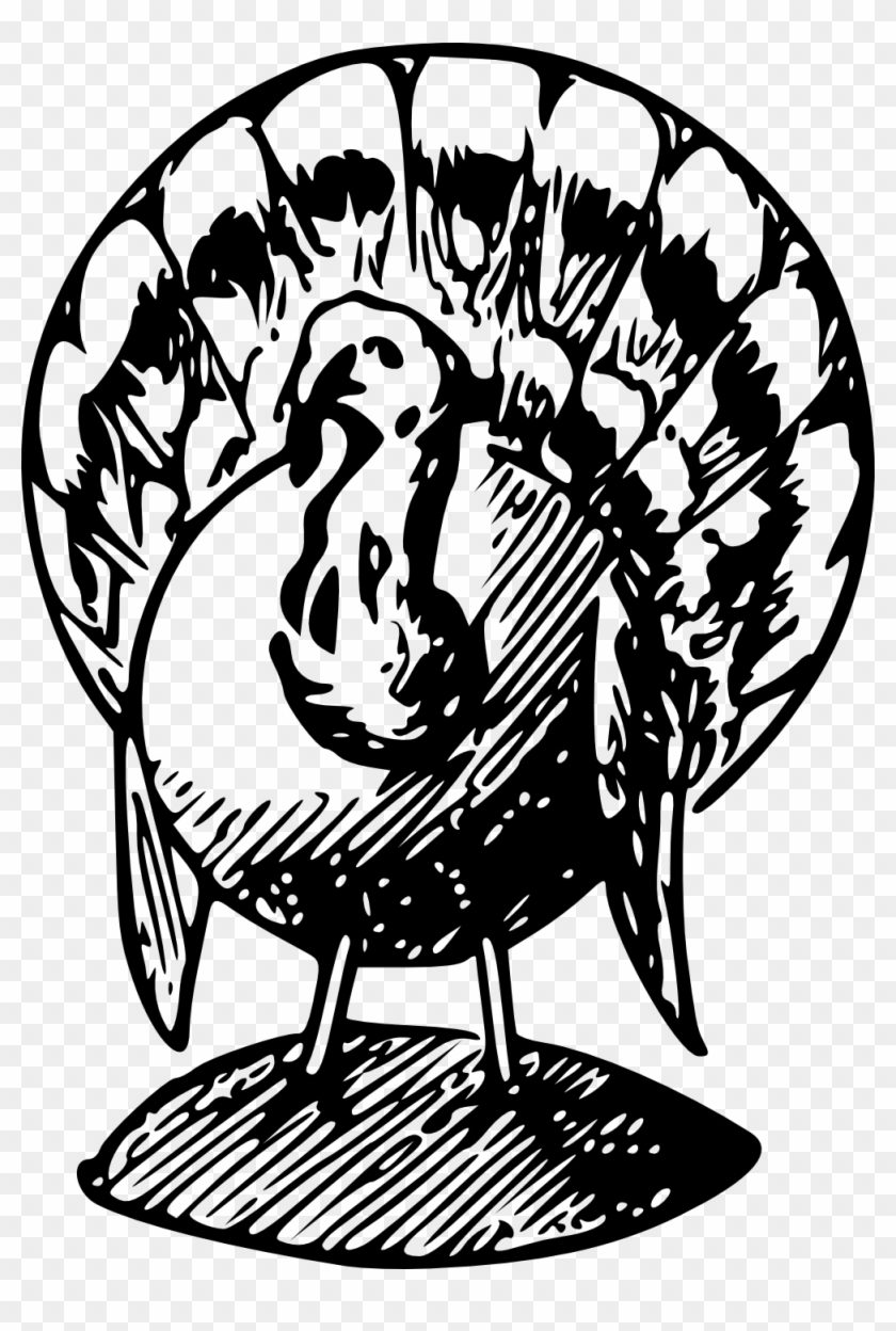 Picture Freeuse Stock Cooked Turkey Clipart Black And - Turkey Black And White Clipart - Png Download #572647