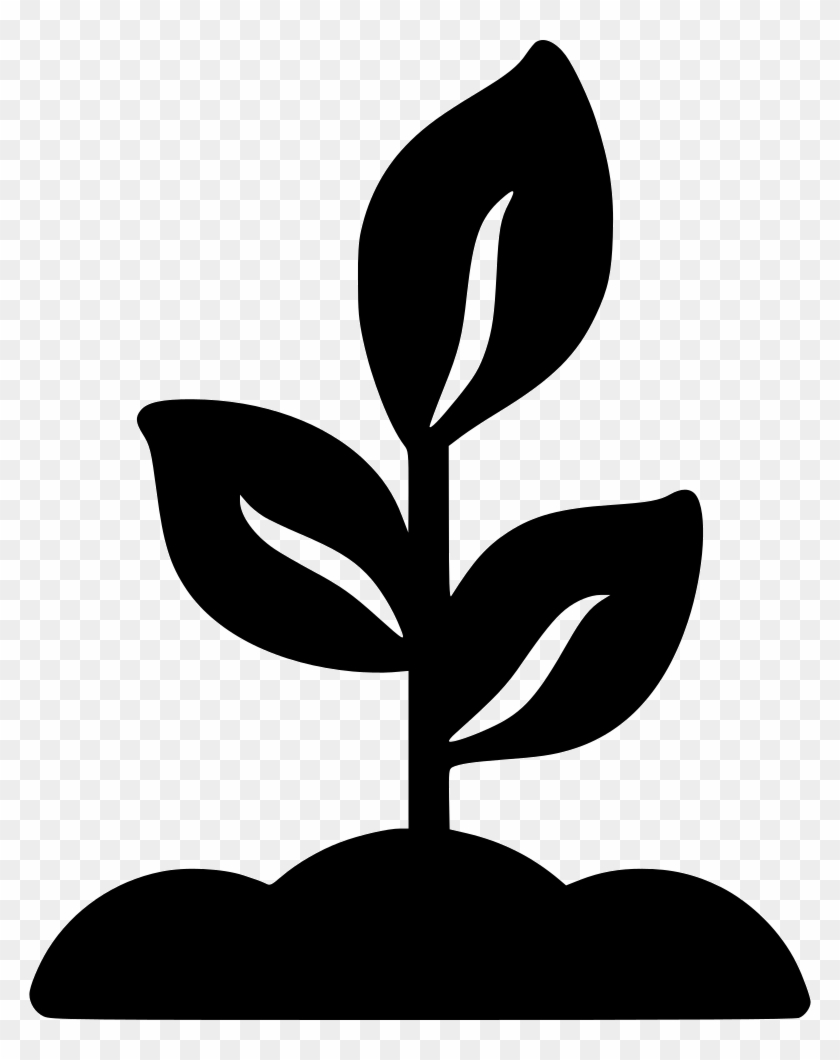 Png File Svg - Growing Plant Black And White Clipart #572912