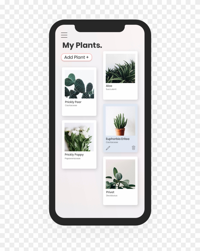 My Plants Clipart