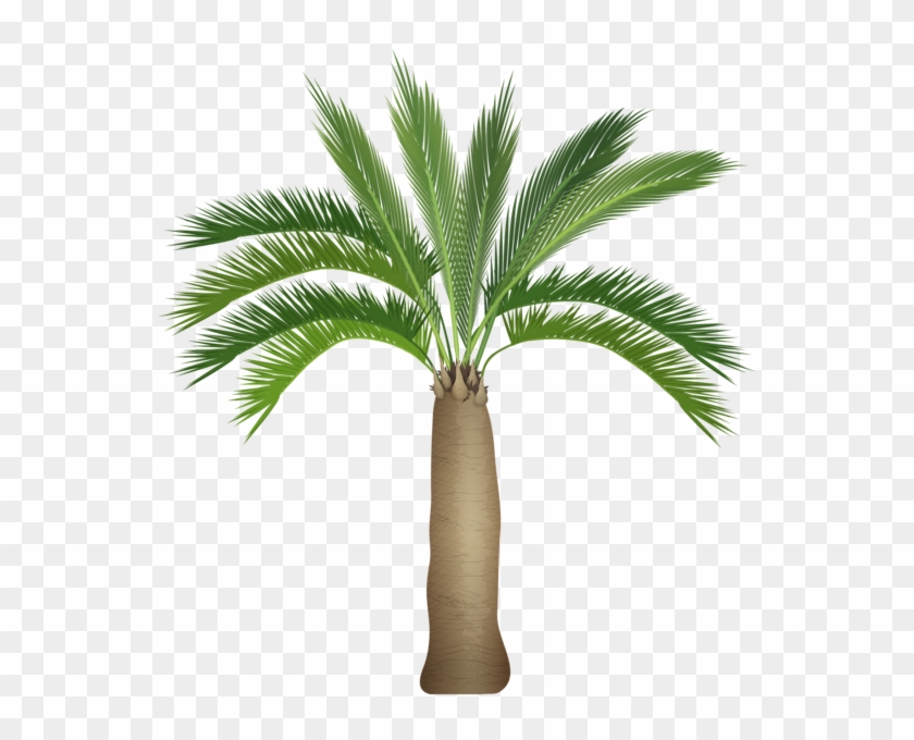 0, - Palm Trees Clipart #573471