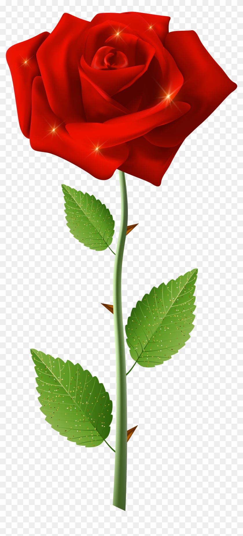 Red Rose With Steam Transparent Image - Hoa Hồng Đỏ Png Clipart #573623
