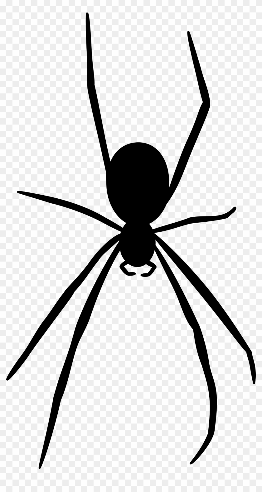 Black Spider Png Image Background - Spider Silhouette Png Clipart #573781