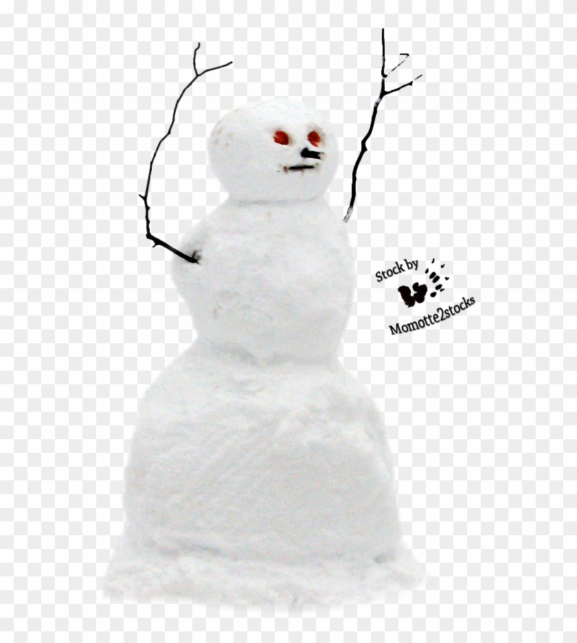 Real Snowman Transparent Background Clipart #573839