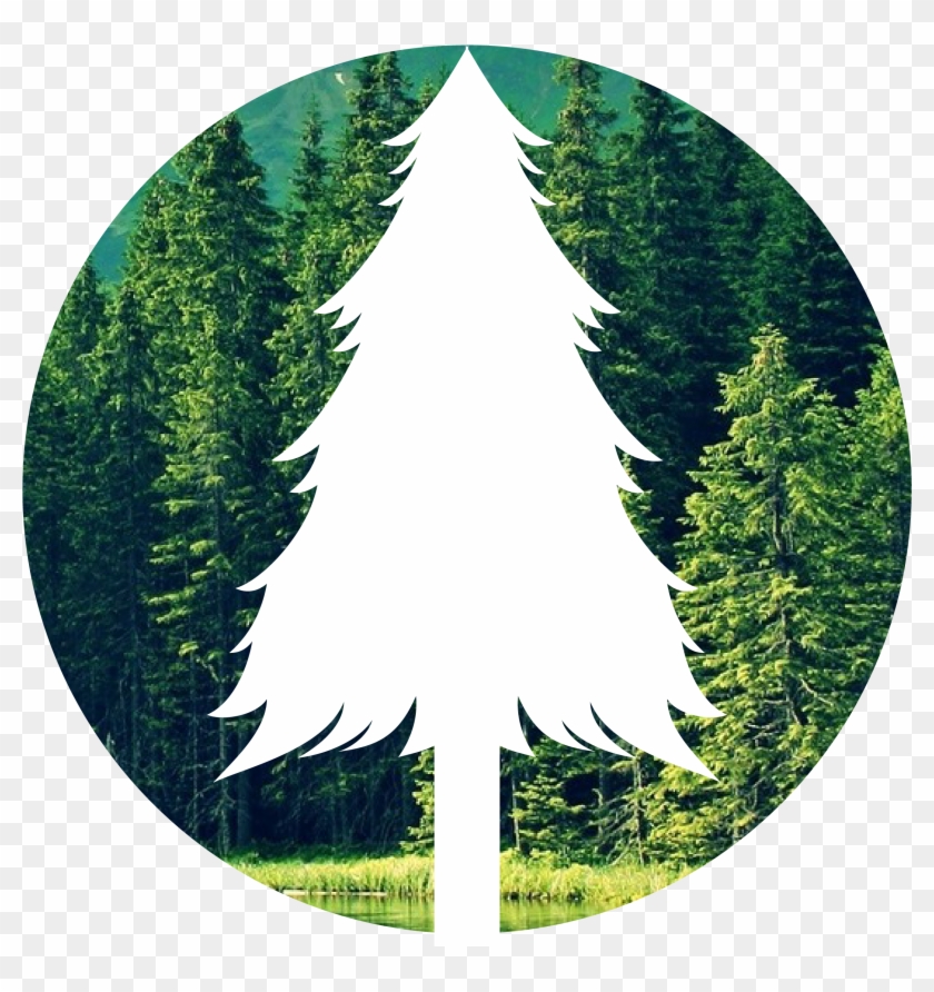 Save The Forest - Christmas Tree Clipart