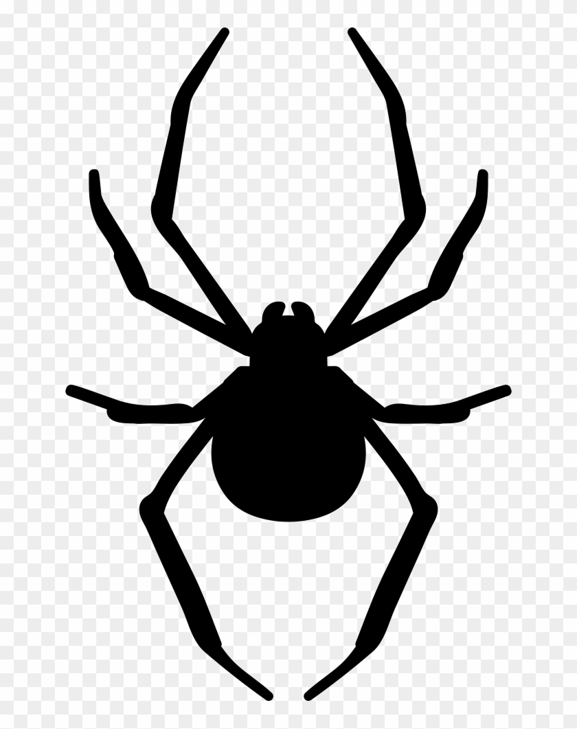 Png File - Spider Vector Clipart