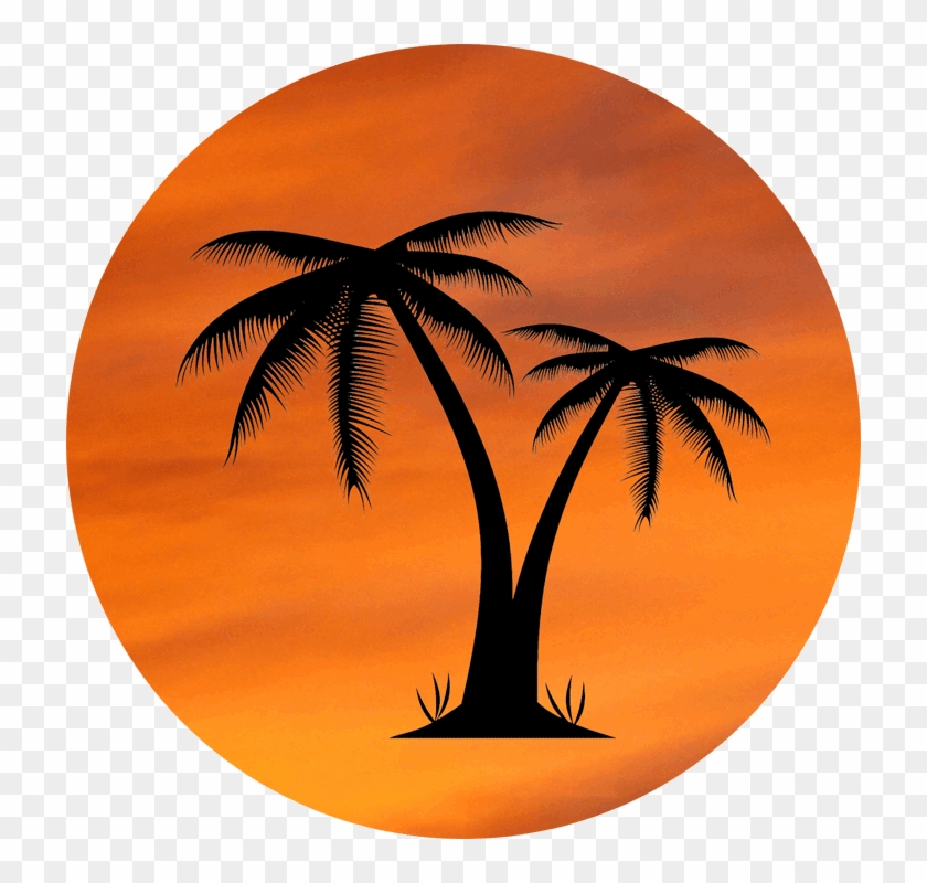 Orange Sky Palm Tree Design - Palm Tree Pic No Background Clipart