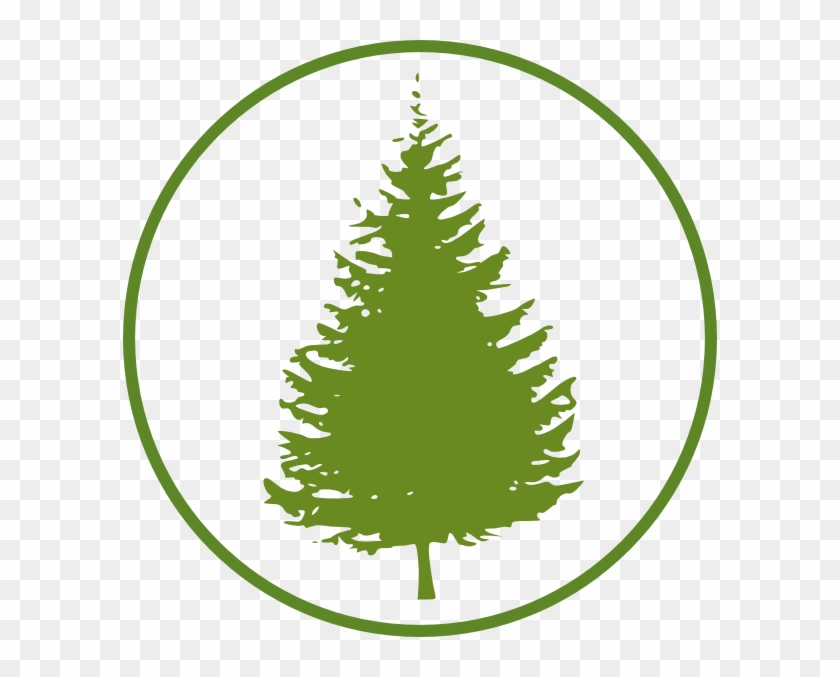 Small - Pine Tree Clipart Free - Png Download