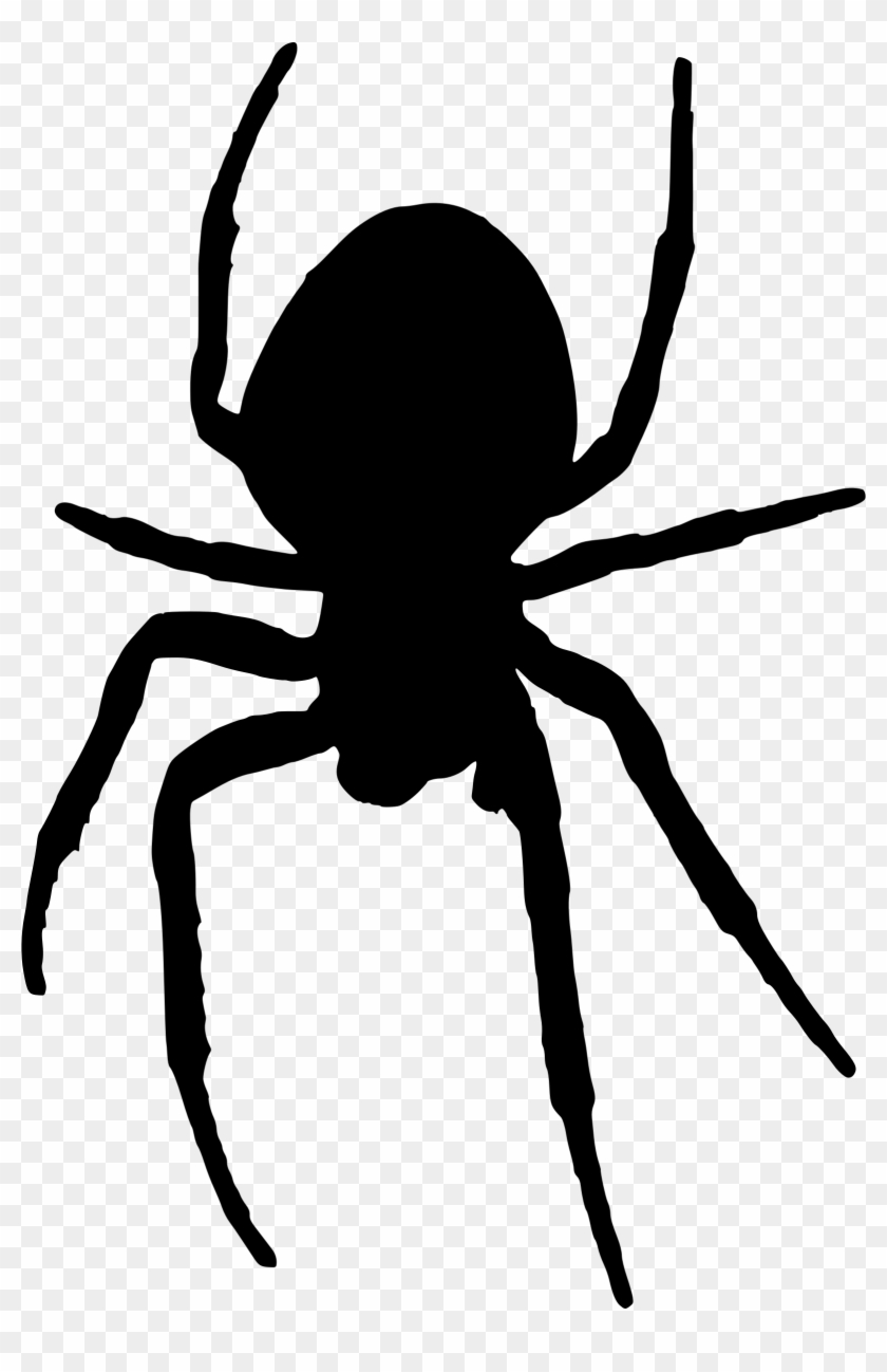 Spider Silhouette Png Clipart #574714