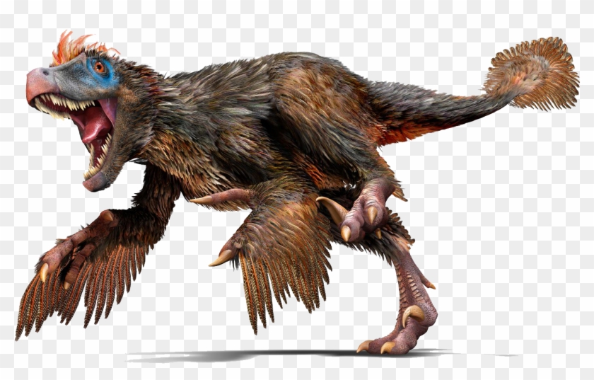 Dinosaur Have Feathers Clipart