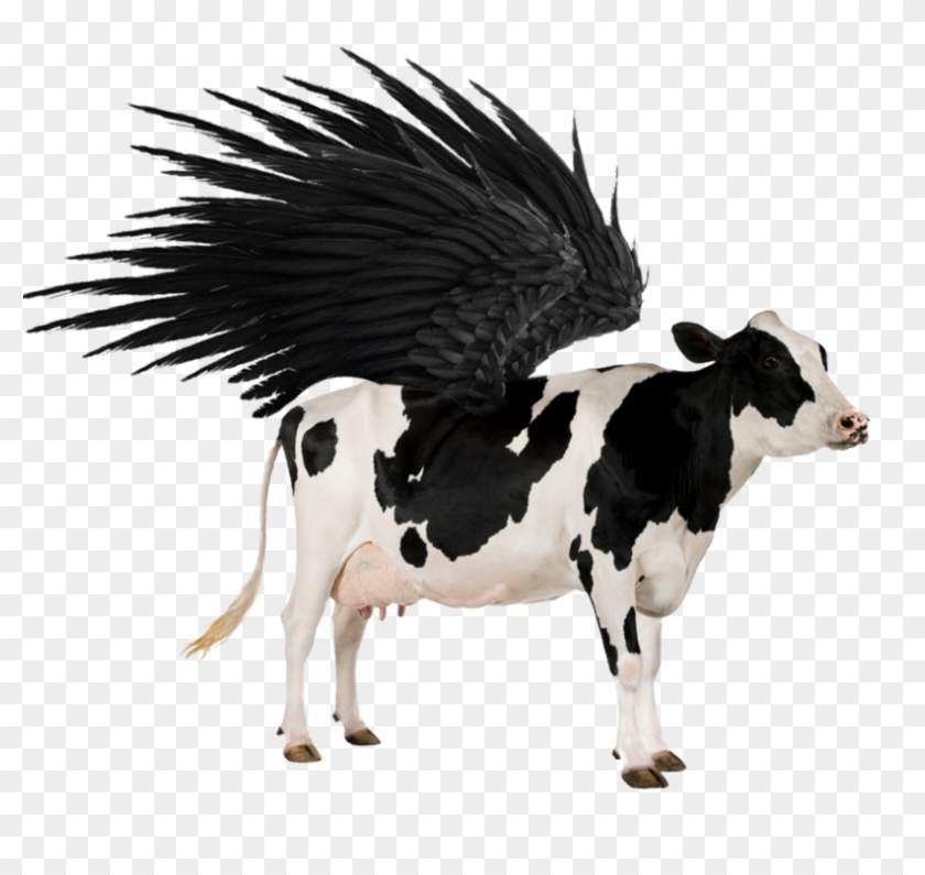 Flying Cow Png - Cow Walking On Two Feet Clipart #575035