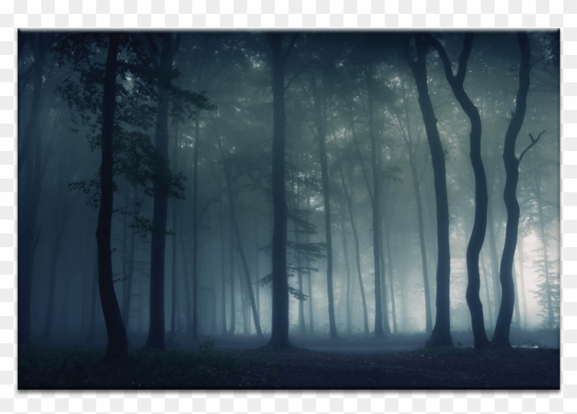 Mysterious Forest - Spruce-fir Forest Clipart #575238