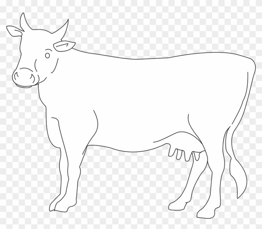 White Cow Png Photo - Cow Drawing Side View Clipart