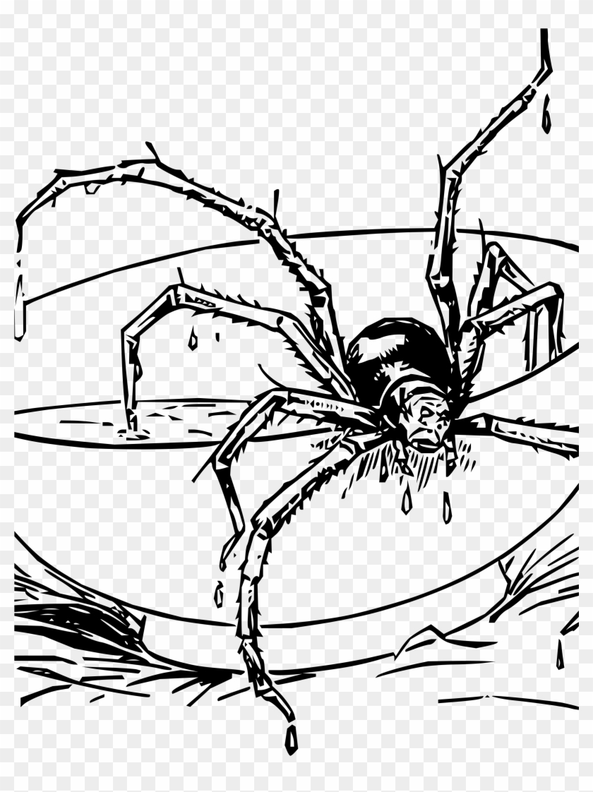 This Free Icons Png Design Of Miss Muffet's Spider Clipart #575329