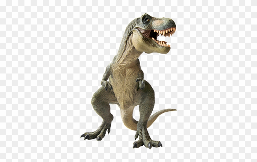 Dinosaur Png Transparent Images - Dinosaur Transparent Clipart #575766
