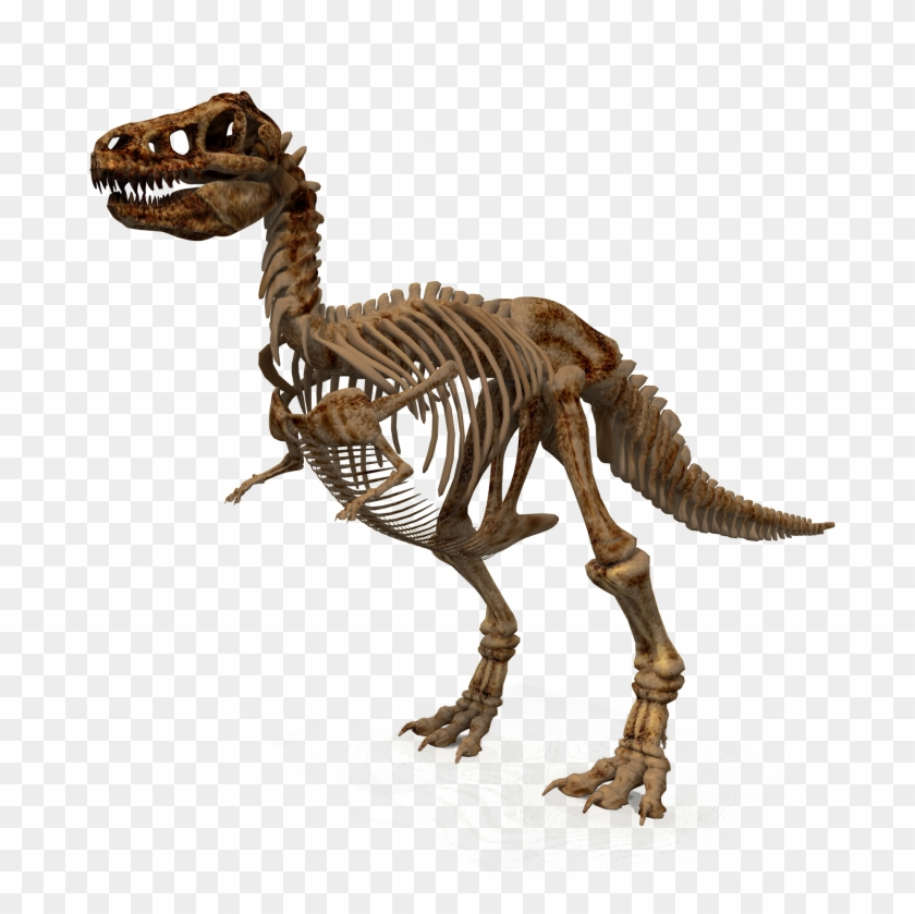 1900 X 1808 - Dinosaur Skeleton Png Clipart #575792