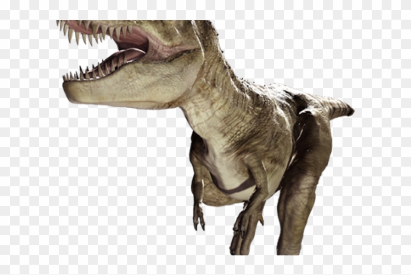 Dinosaur Png Transparent Images - Dinosaurs Png Clipart #576163