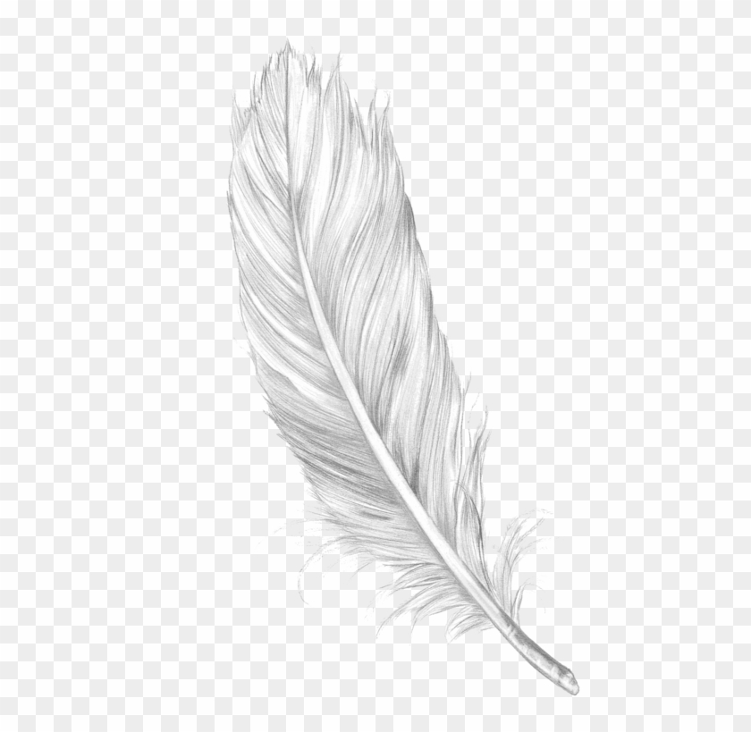 Tumblr Feather Png - Feather Png Clipart