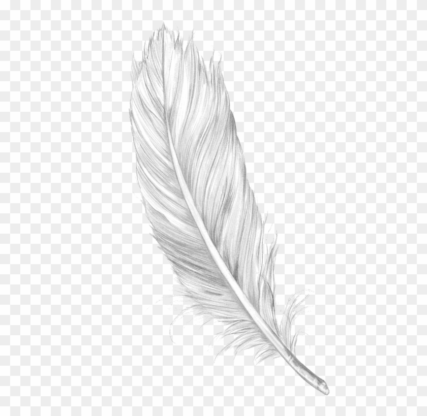 Tumblr Feather Png - Feather Png Clipart #576910