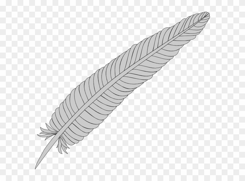 Feather Svg Clip Arts 600 X 540 Px - Png Download #577310