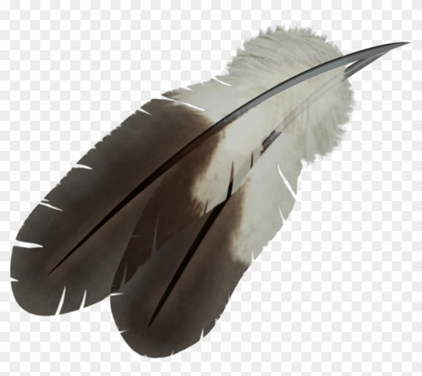 Free Png Download Feather Png Images Background Png - Indian Feather Png Clipart