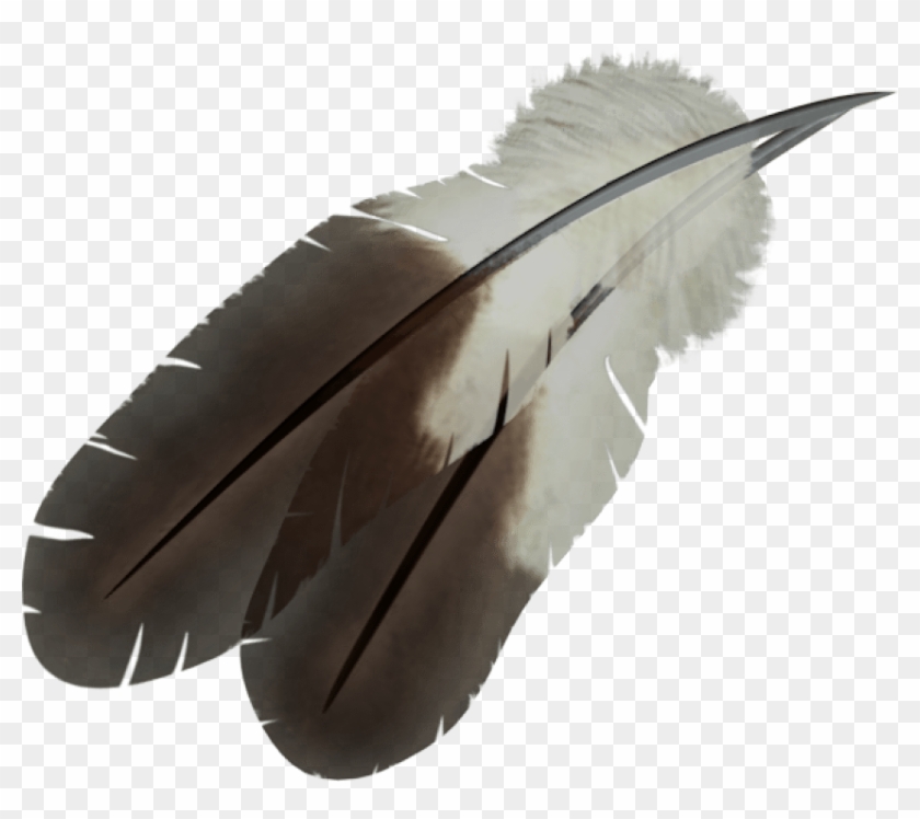 Free Png Download Feather Png Images Background Png - Indian Feather Png Clipart #577611
