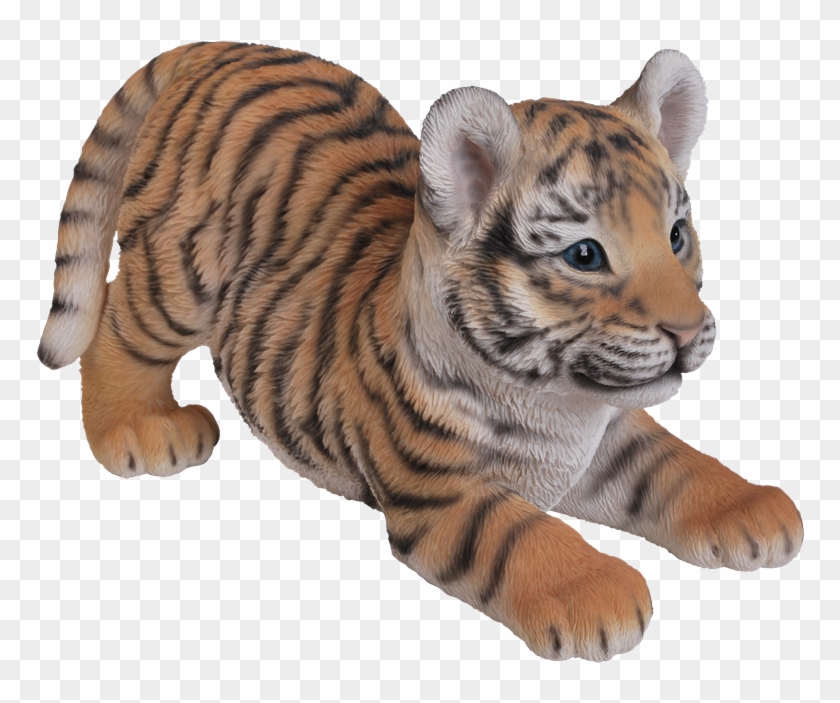 6 Kbytes, V - Tiger Baby Clipart #577615