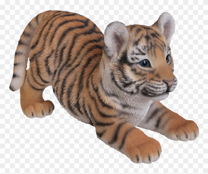 6 Kbytes, V - Tiger Baby Clipart
