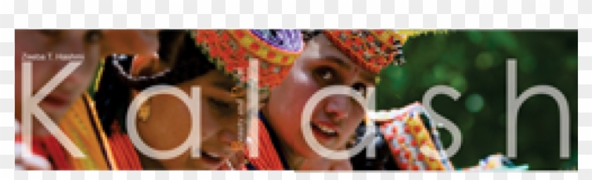 Beauty And Plight - Orangutan Clipart