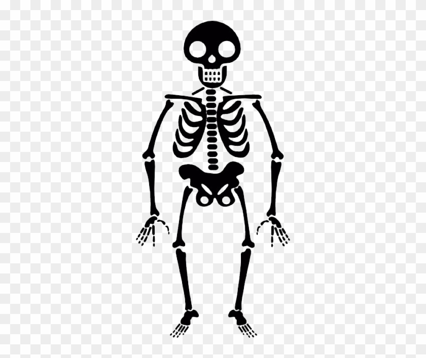 Halloween Skeleton Transparent Png - Transparent Skeleton Clipart