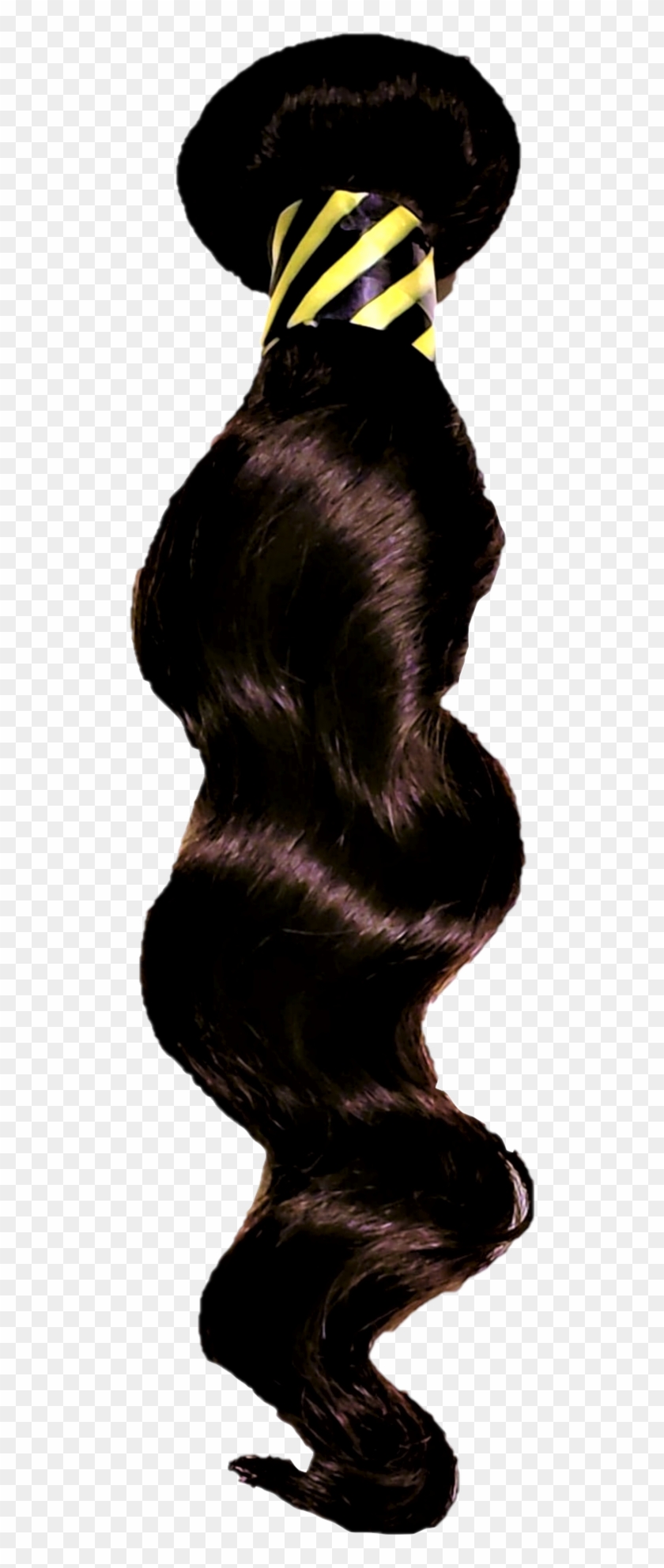 Coilspring - Lace Wig Clipart