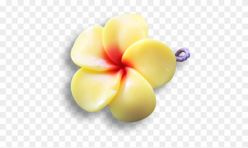 Yellow Frangipani - Frangipani Clipart #5702422
