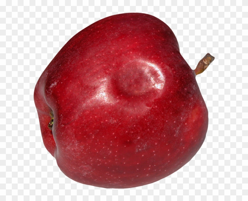This Single Bruise Occurred At Harvest - Mcintosh Clipart