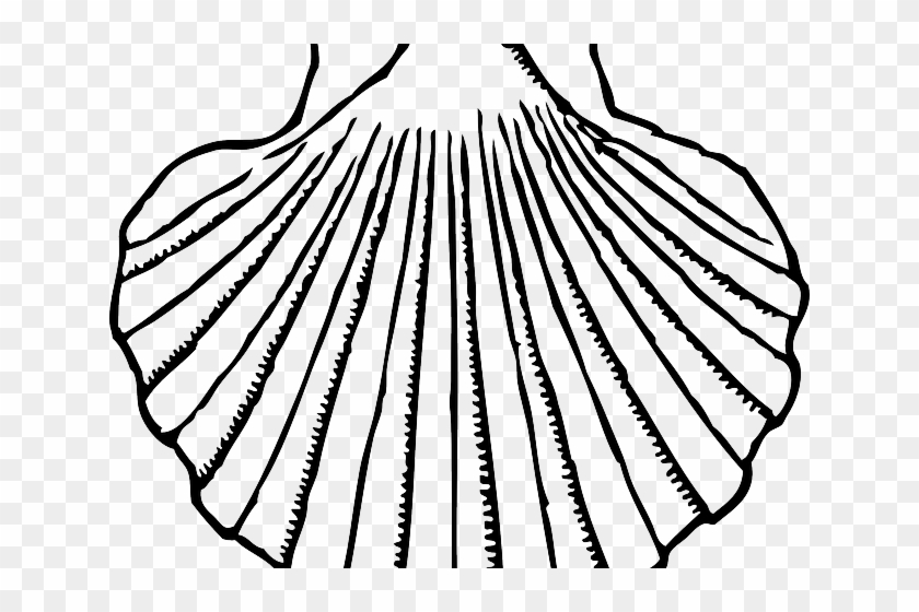 Free On Dumielauxepices Net Mussel - Seashells Clipart Black And White - Png Download