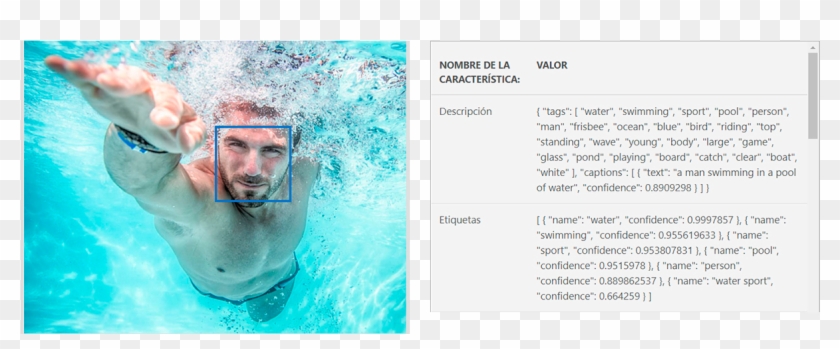 Analyze An Image - Snorkeling Clipart