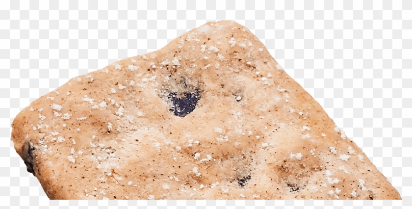 Blueberry - Cookie Clipart