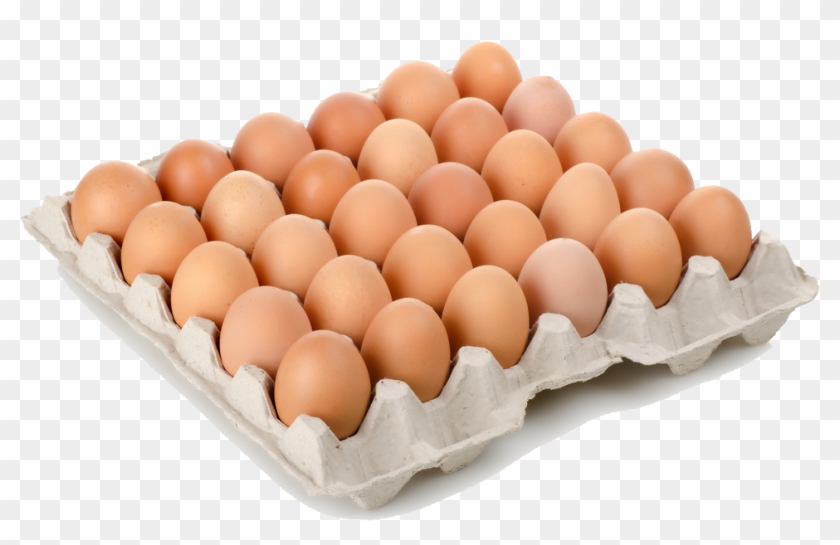 Arquitecto, Te Lo Ponemos A Huevo - Eggs Case Clipart #5710094