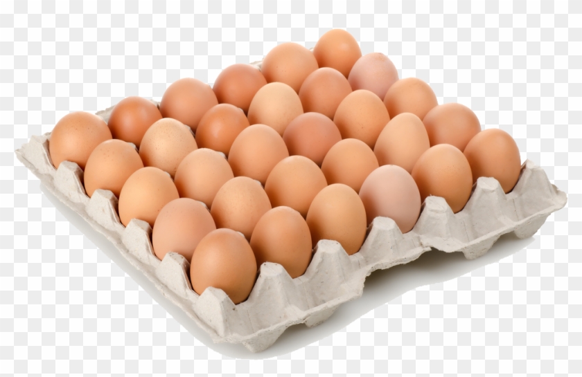 Arquitecto, Te Lo Ponemos A Huevo - Eggs Case Clipart