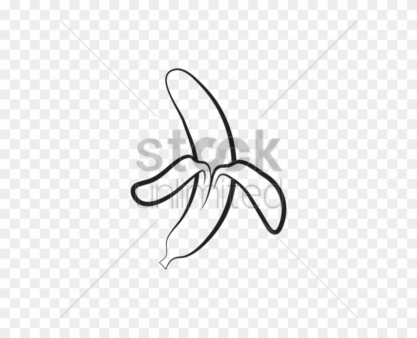 Contour Drawing Banana - Sketch Clipart #5710125