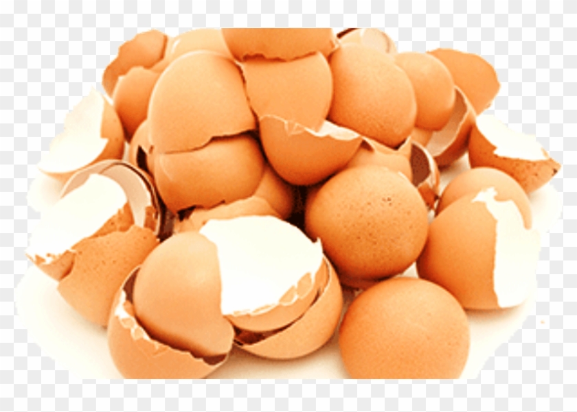 ¡cuando Sepas Los Beneficios De Los Cascarones De Huevo - Egg Clipart #5710300