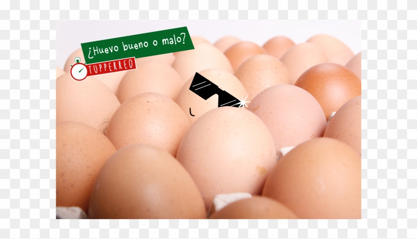 Aunque Aún No Estéis Familiarizados Con La Actividad - Egg Clipart #5710629