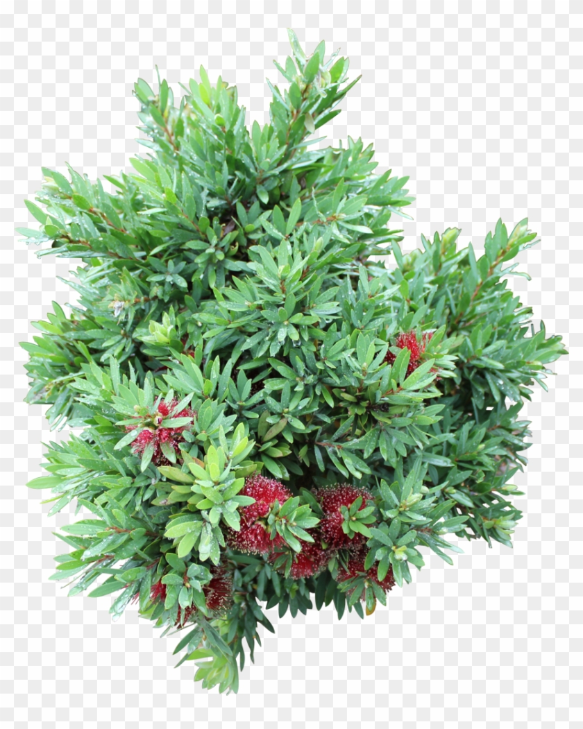 Better John™ Clipart #5712406