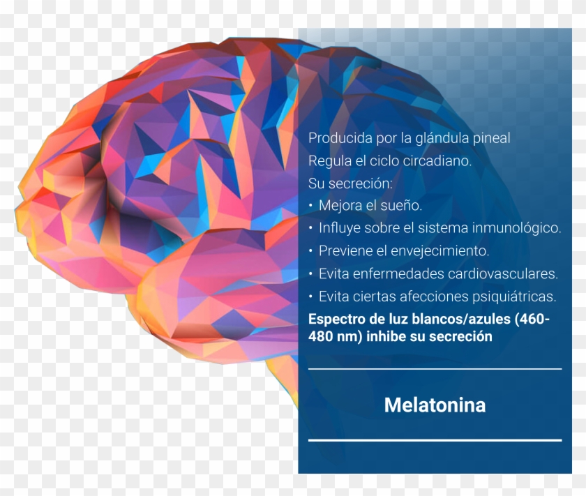 Saluz Esp May18 V1-5 - Bias Unconscious Clipart