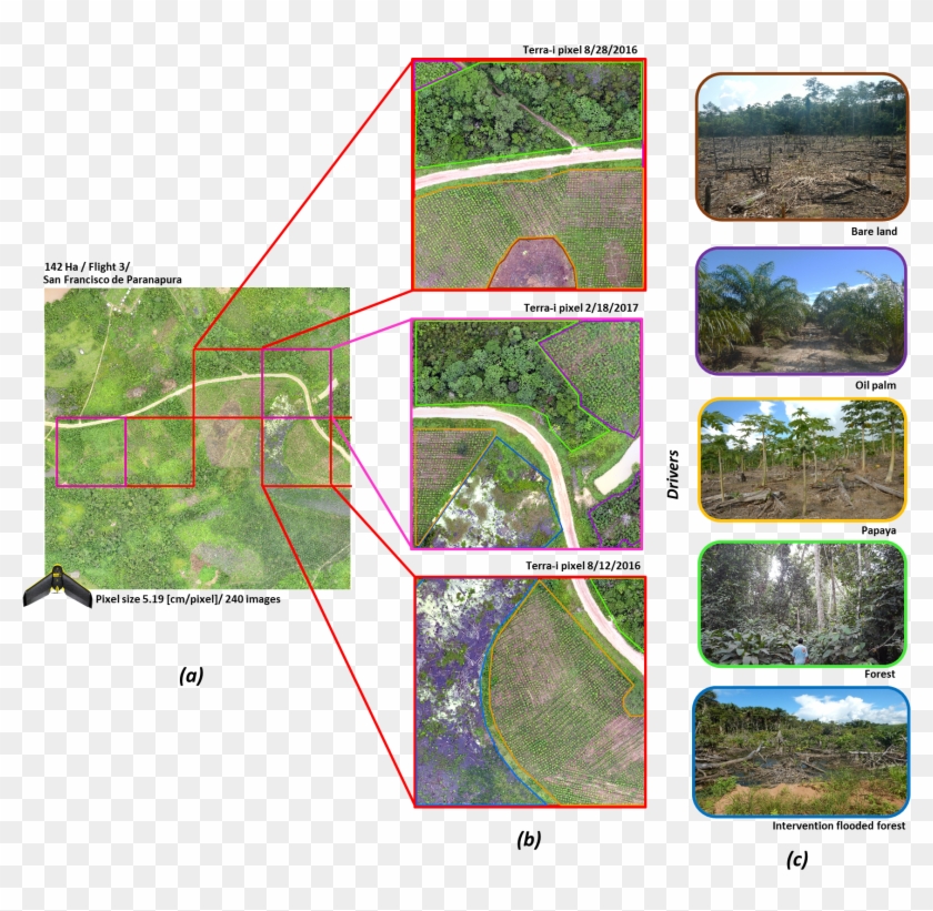 Flight Number 3 Carried Out With Ebee Drone Close To - Grass Clipart #5713613