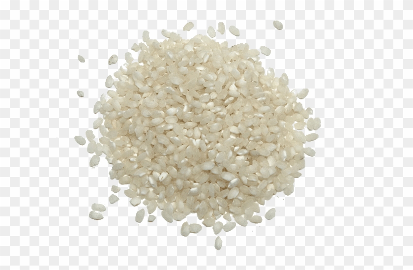 Arroz Bomba - White Grain Clipart