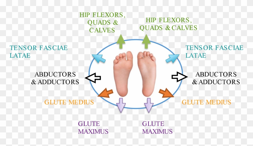 5 Mistakes Of Foam Rolling - Barefoot Clipart #5714926