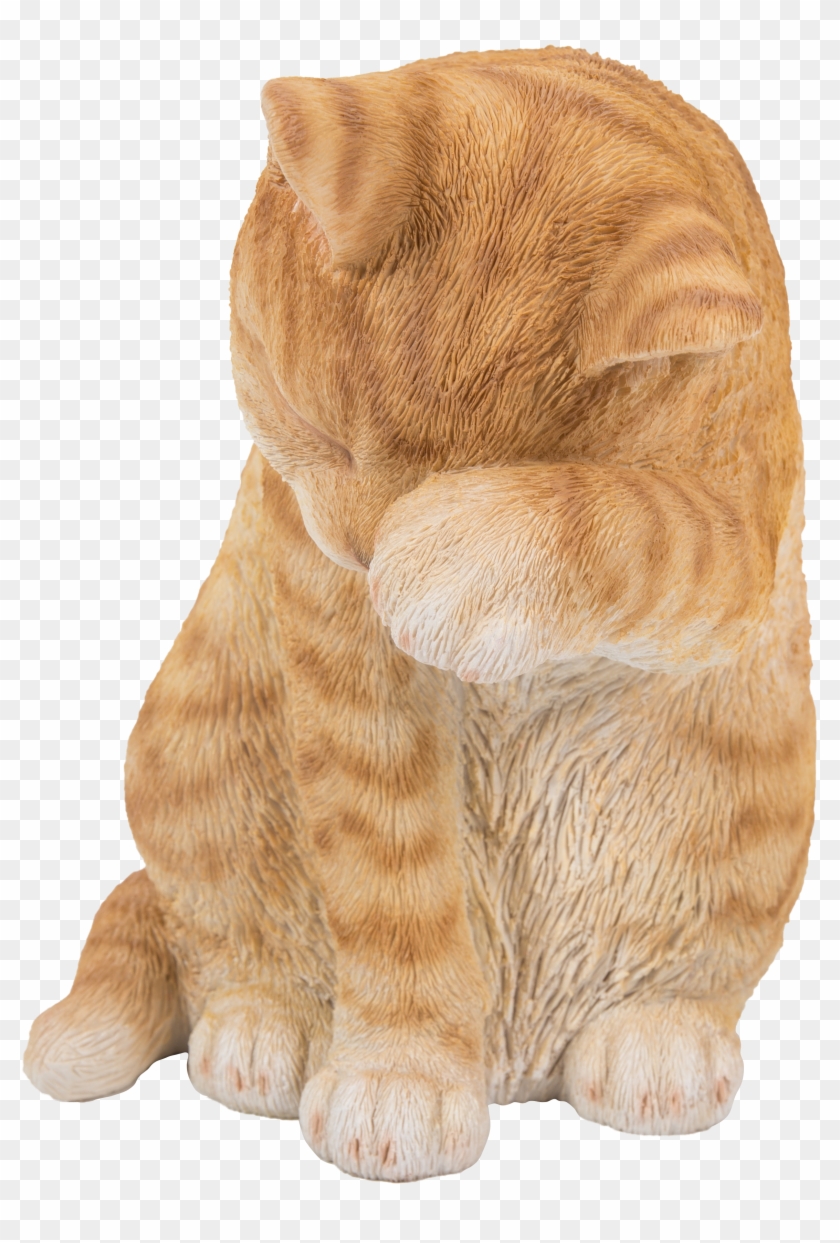 Grizzly Bear Clipart #5715959