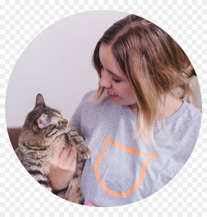 Operated Primarily By Volunteers, We Are Always Seeking - Tabby Cat Clipart #5716222