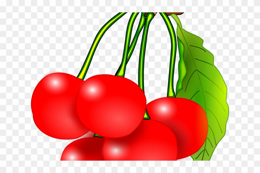 Cherry Clipart Kind Fruit - Cherry Fruit Clip Arts - Png Download
